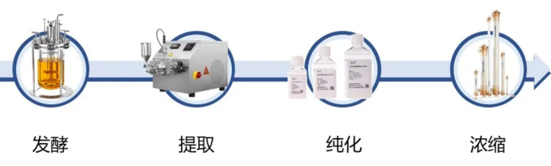 工業(yè)規(guī)模包涵體復性工藝的開發(fā)