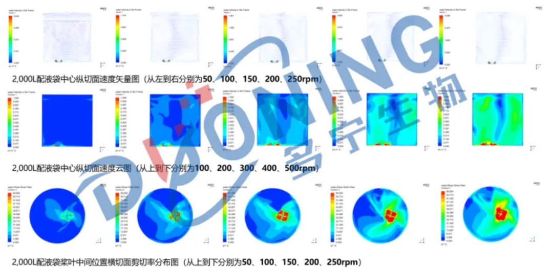 工業(yè)規(guī)模包涵體復性工藝的開發(fā)